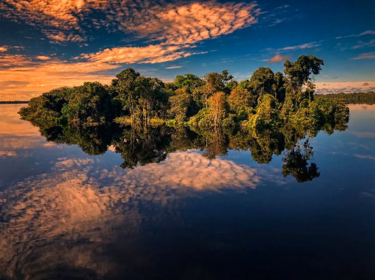 Floresta amazônica vista durante expedição fluvial humanitária